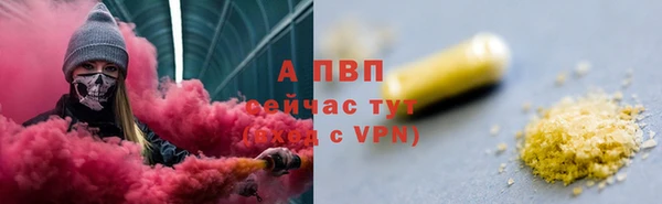 прущие грибы Арсеньев