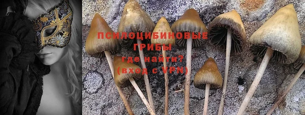 прущие крисы Осташков