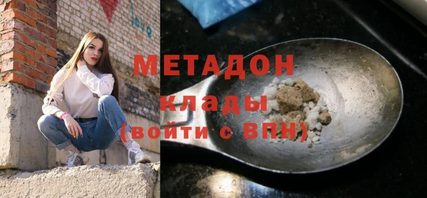 прущие грибы Арсеньев