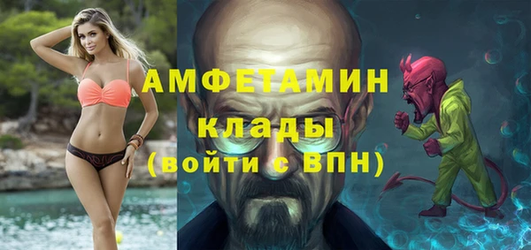 стаф Осинники